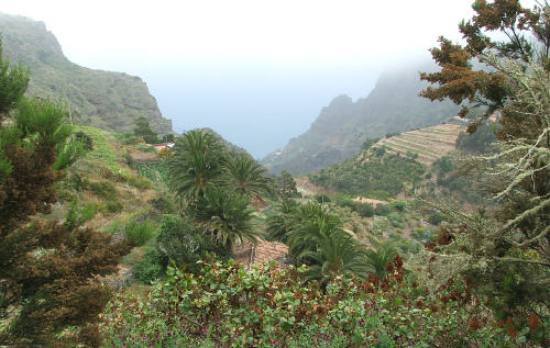 La Gomera er grønn med stupbratte fjell