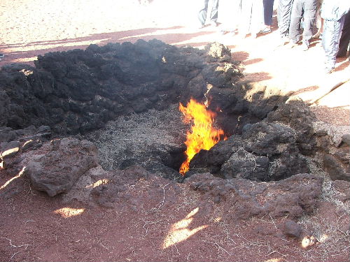 Kvister som tar fyr pga. vulkansk varme i Timanfaya på Lanzarote